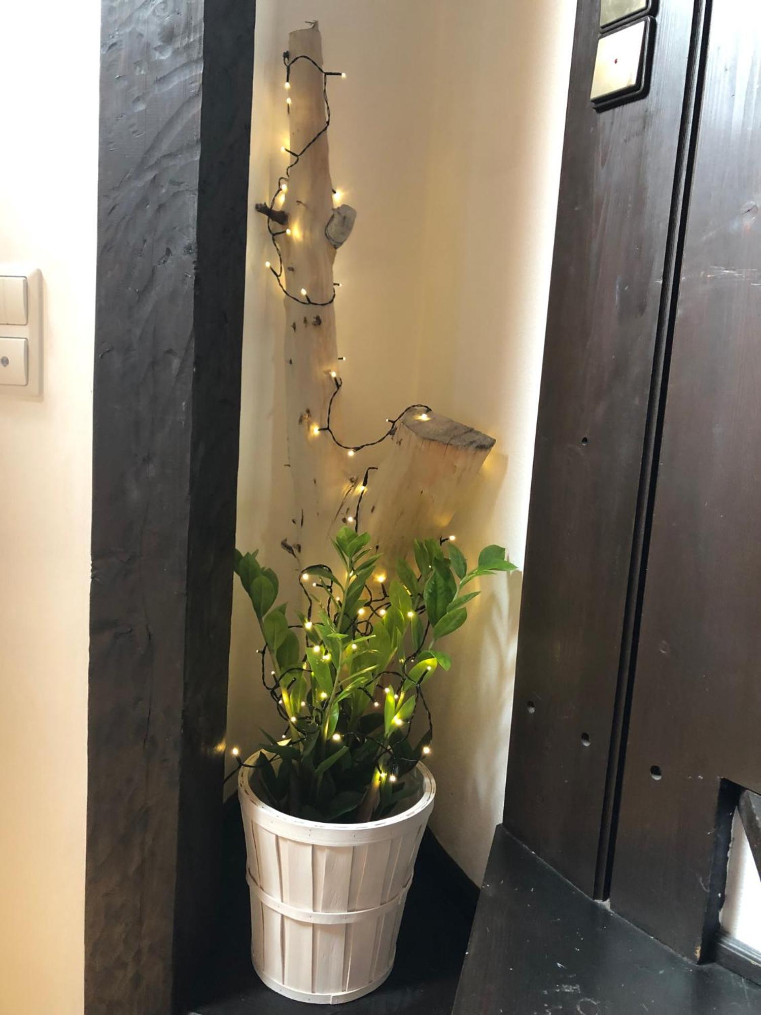新特尔布鲁Atelier Kurt公寓 外观 照片